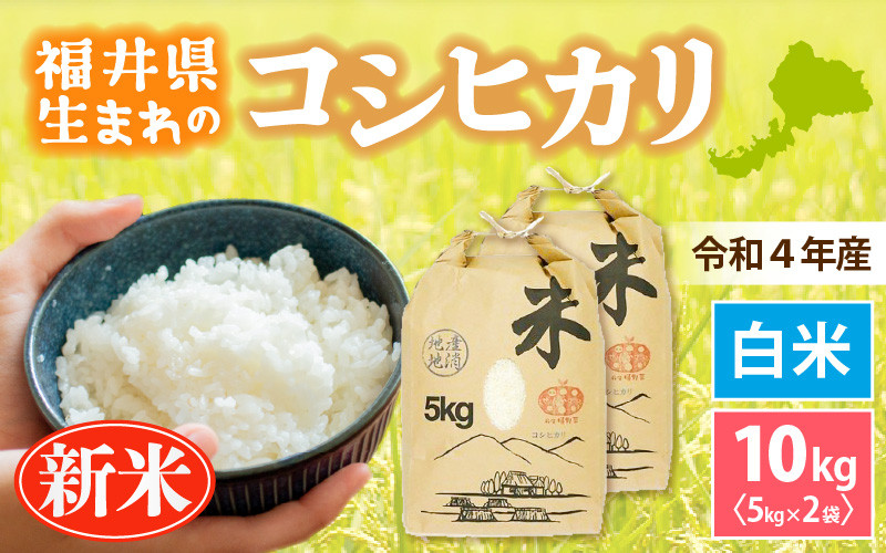 ５５％以上節約 新米 コシヒカリ 酵素米 お米 玄米１０ｋｇ 標準 白米に精米