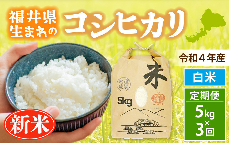 奈良市北部産 コシヒカリ玄米