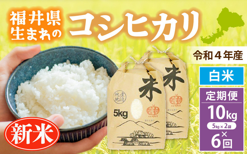 令和4年 富山県産 コシヒカリ 白米 20kg （10kg×2） TK2 - 米