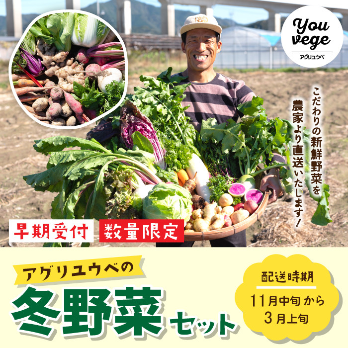 22-761．【早期受付・数量限定】＼とれたて新鮮／農家直送！アグリユウベの冬野菜セット【2022年11月中旬～2023年3月上旬の間に１回発送】 -  高知県四万十市｜ふるさとチョイス - ふるさと納税サイト