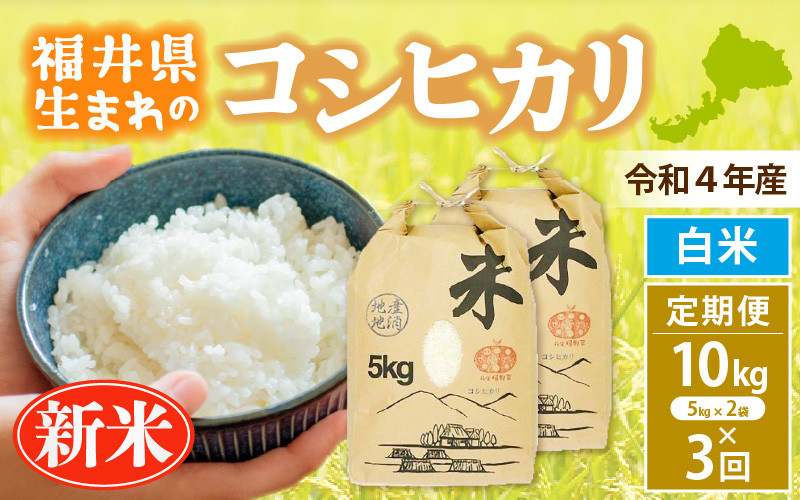 e30-c006] 新米 定期便≪3ヶ月連続お届け≫コシヒカリ 10kg × 3回 令和4年 福井県産【白米】【お米 こしひかり 計30キロ  人気品種】 - 福井県越前町｜ふるさとチョイス - ふるさと納税サイト