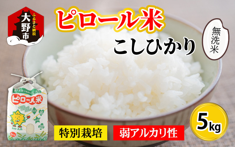 自然栽培米 でわのもち(もち米)中米 とんちゃん専用