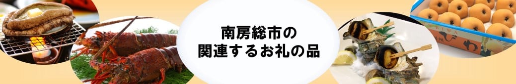 南房総新名物☆伊勢海老しゃぶしゃぶ6尾セット[№5651-0737] - 千葉県南房総市｜ふるさとチョイス - ふるさと納税サイト