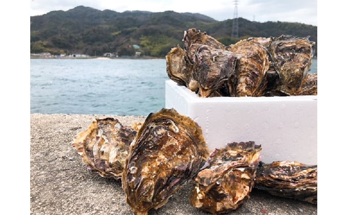 №5624-0888]丸十水産 広島ブランド牡蠣【かき小町】殻付35個 - 広島県呉市｜ふるさとチョイス - ふるさと納税サイト