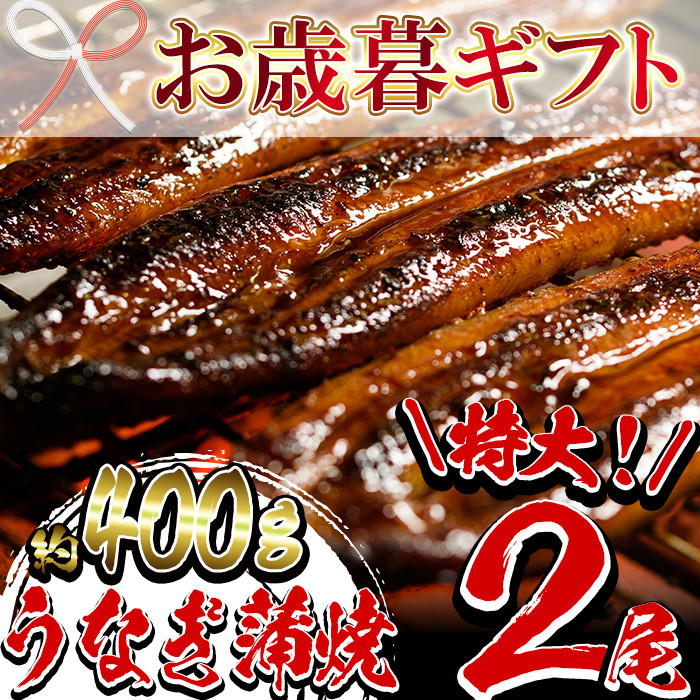 SA-100【令和4年お歳暮対応】鹿児島県産うなぎ蒲焼特大2尾 合計約400g！ 国産 うなぎ 鰻 蒲焼 冷凍 鹿児島 - 鹿児島県いちき串木野市｜ ふるさとチョイス - ふるさと納税サイト