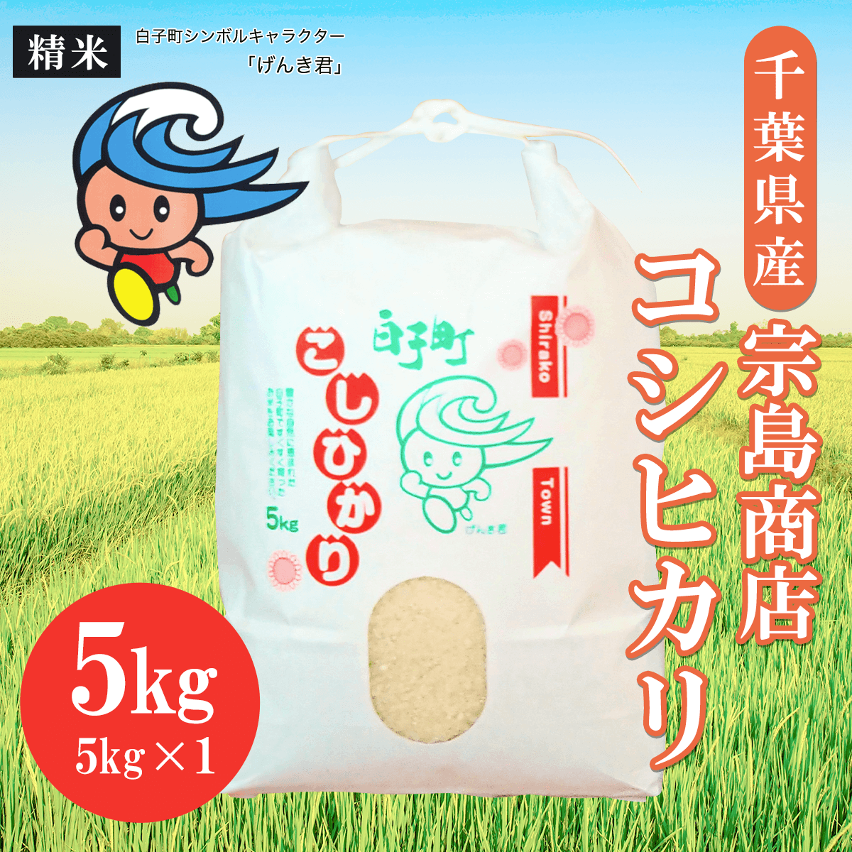 ふるさと納税 千葉県 白子町 令和5年産 ＜6ヶ月定期便＞千葉県産粒すけ