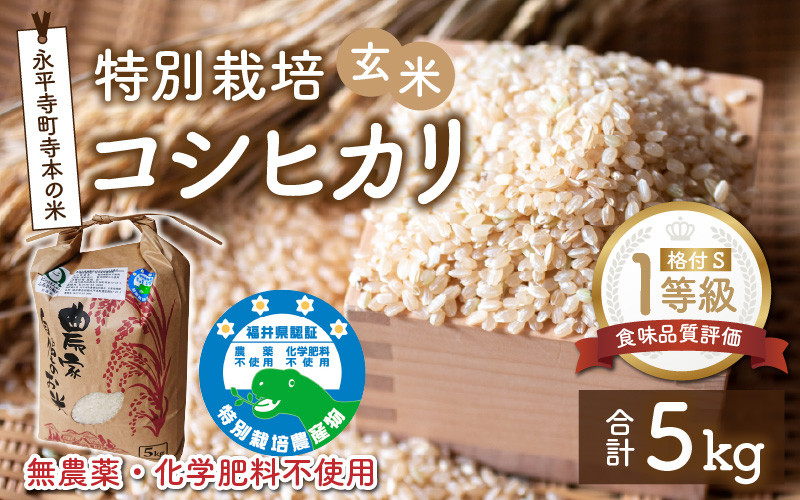 令和5年度 【湧き水栽培】農薬不使用玄米　コシヒカリ 20㎏　奈良の農家直送