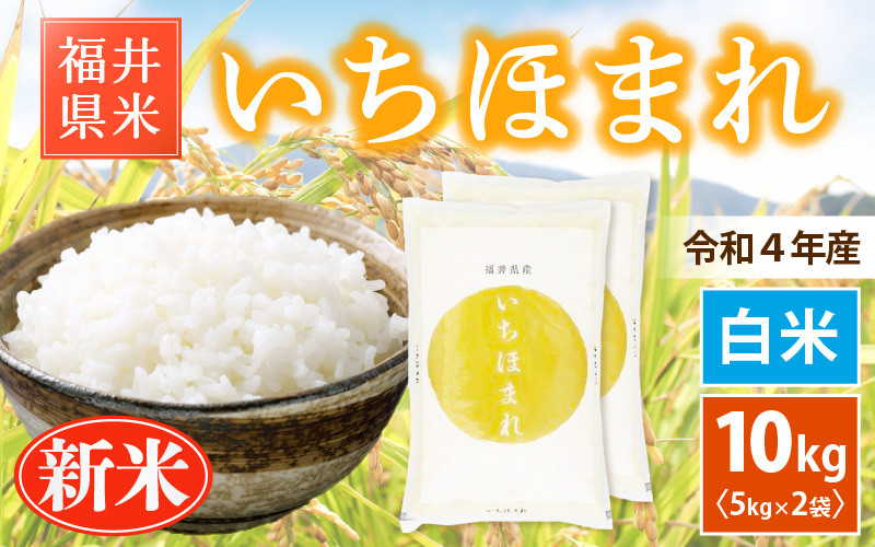 e30-b004] 新米 いちほまれ 10kg 令和4年 福井県産【白米】【お米 10キロ】 - 福井県越前町｜ふるさとチョイス - ふるさと納税サイト