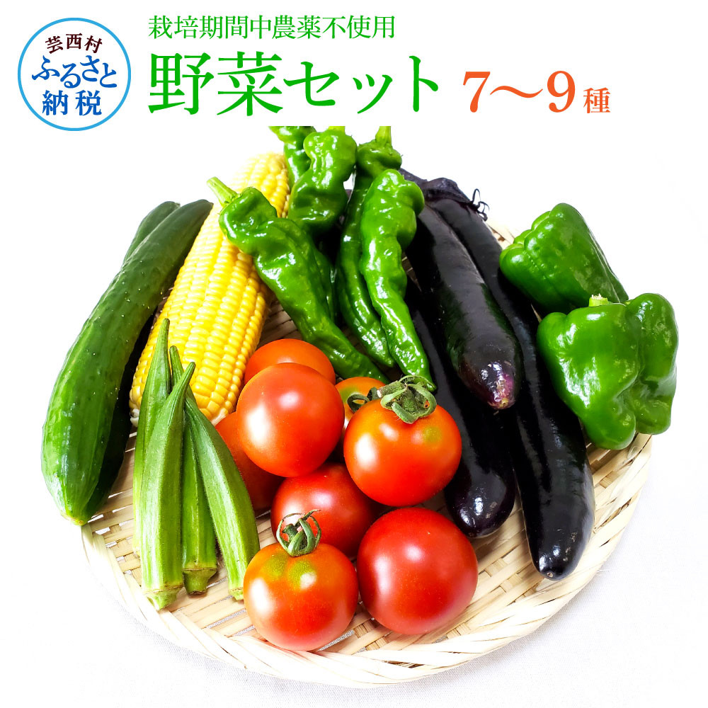 栽培期間中農薬不使用！ 野菜セット（7‐9種類） 高知県芸西村｜ふるさとチョイス ふるさと納税サイト