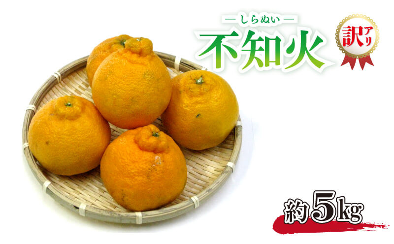 訳あり 規格外 不知火 しらぬひ デコポン 約 5kg 柑橘 - 香川県さぬき市｜ふるさとチョイス - ふるさと納税サイト