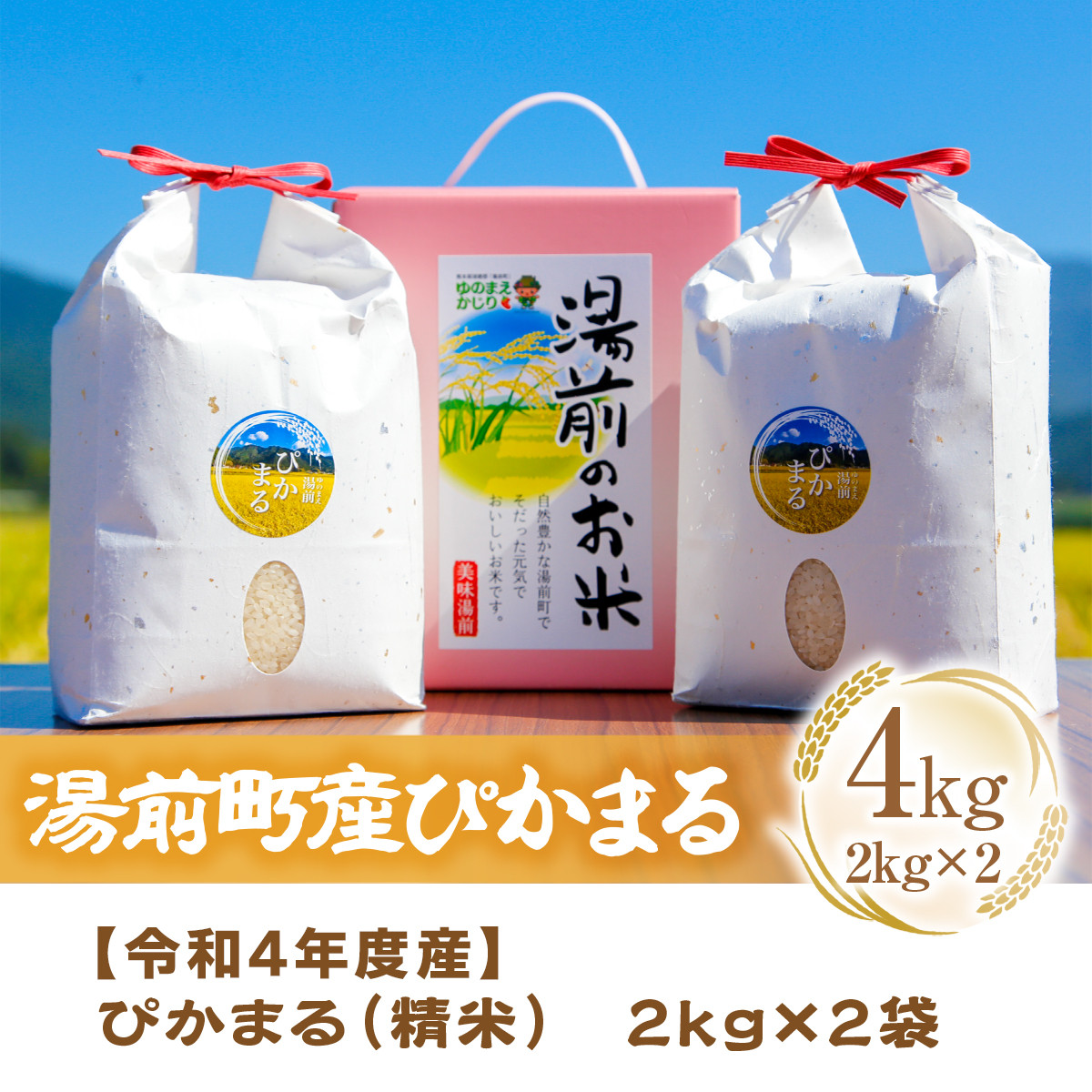 公認店 【ふるさと納税】令和4年産