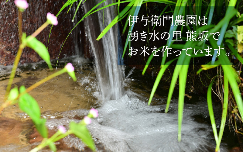 ＼新米／ あきさかり 白米 5kg 特別栽培米 湧き水100% 徳島県産