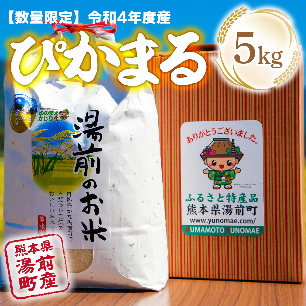 数量限定！令和4年産 湯前産ぴかまる５kg - 熊本県湯前町｜ふるさと