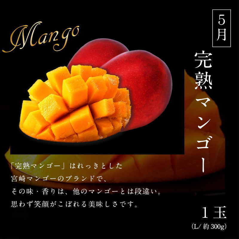 宮崎産 完熟マンゴー 10個 3.9kg - 果物