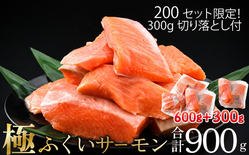 200セット限定 300g切り落とし付』ふくいサーモン合計 900g（刺身用）200g× 3パック + 切り落とし300g 真空冷凍 [A-7027]  - 福井県坂井市｜ふるさとチョイス - ふるさと納税サイト