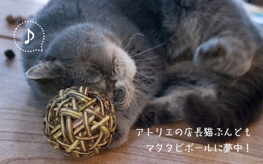 ねこのおもちゃ【限定】クリスマスギフトセット - 山形県鶴岡市