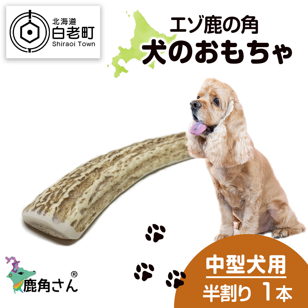 鹿の角 エゾシカ 犬のおもちゃ 『鹿角さん』 中型犬用 半割り 1本 - 北海道白老町｜ふるさとチョイス - ふるさと納税サイト