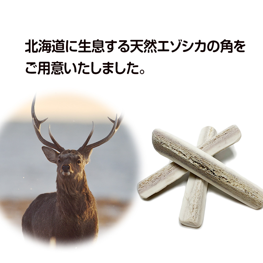 超小型犬用　蝦夷鹿の角　四つ割り20本セット　北海道産　犬　おもちゃ