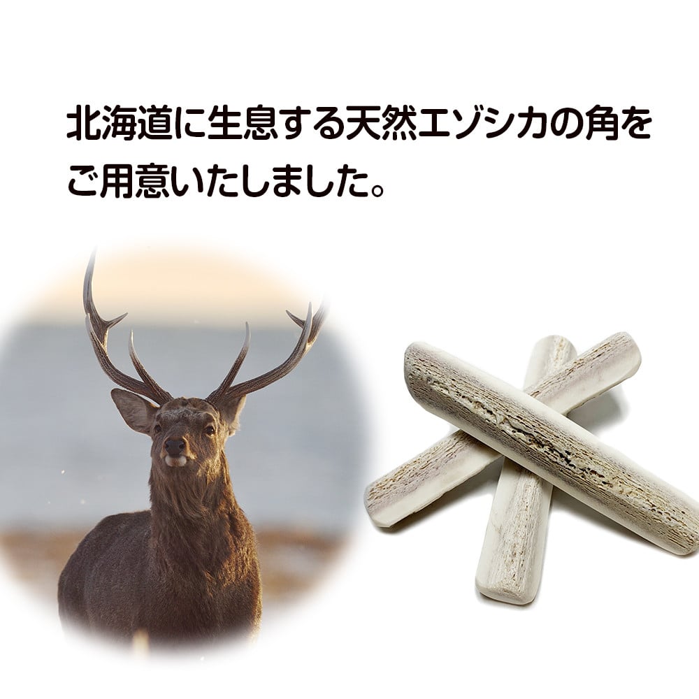 北海道産　鹿の角　エゾシカ　１９本セット