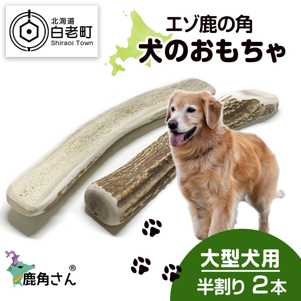 現物発送 大型犬用 エゾ鹿の角 根元１本 北海道産 犬のおもちゃ 11370