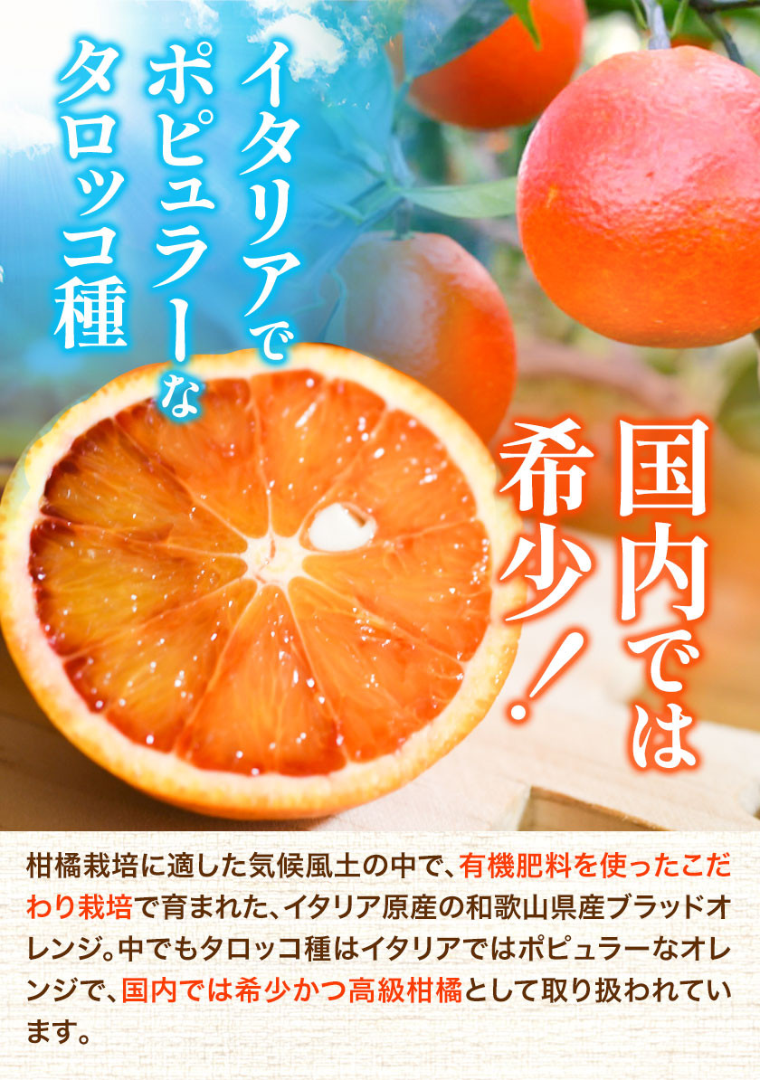 ブラッドオレンジ「タロッコ種」約3kg 紀の川市厳選館 《2024年4月上旬出荷》 和歌山県 紀の川市 果物 フルーツ 柑橘 希少柑橘