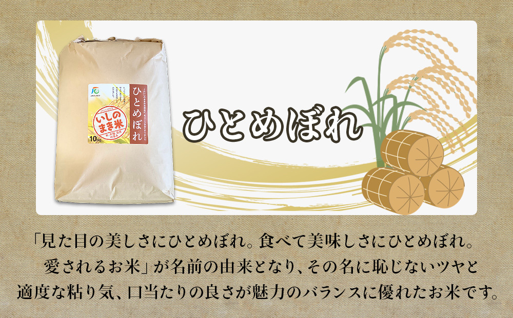 宮城県産ひとめぼれ 令和3年度 新米 令和3年産 宮城県産ひとめぼれブレンド(精米)10kg×2袋セット