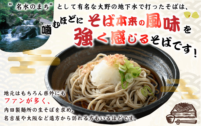 ふるさと納税 福井県 福井市 ヤマサ製麺 半生そば5食 （越前そば2食