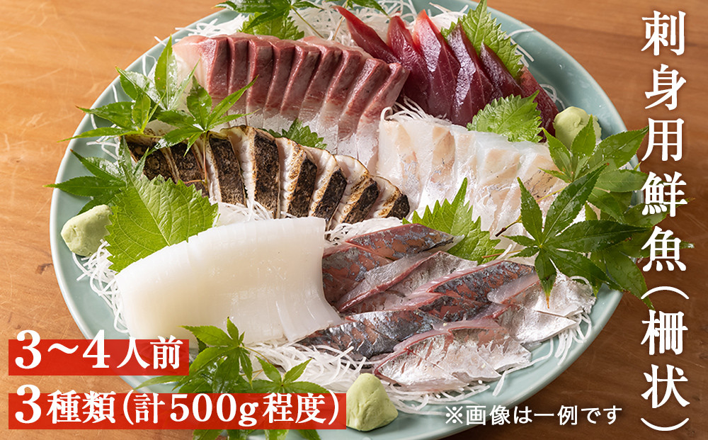 価格は安く 天然のいけす 富山湾氷見漁港水揚げ 旬の鮮魚セット 10000円