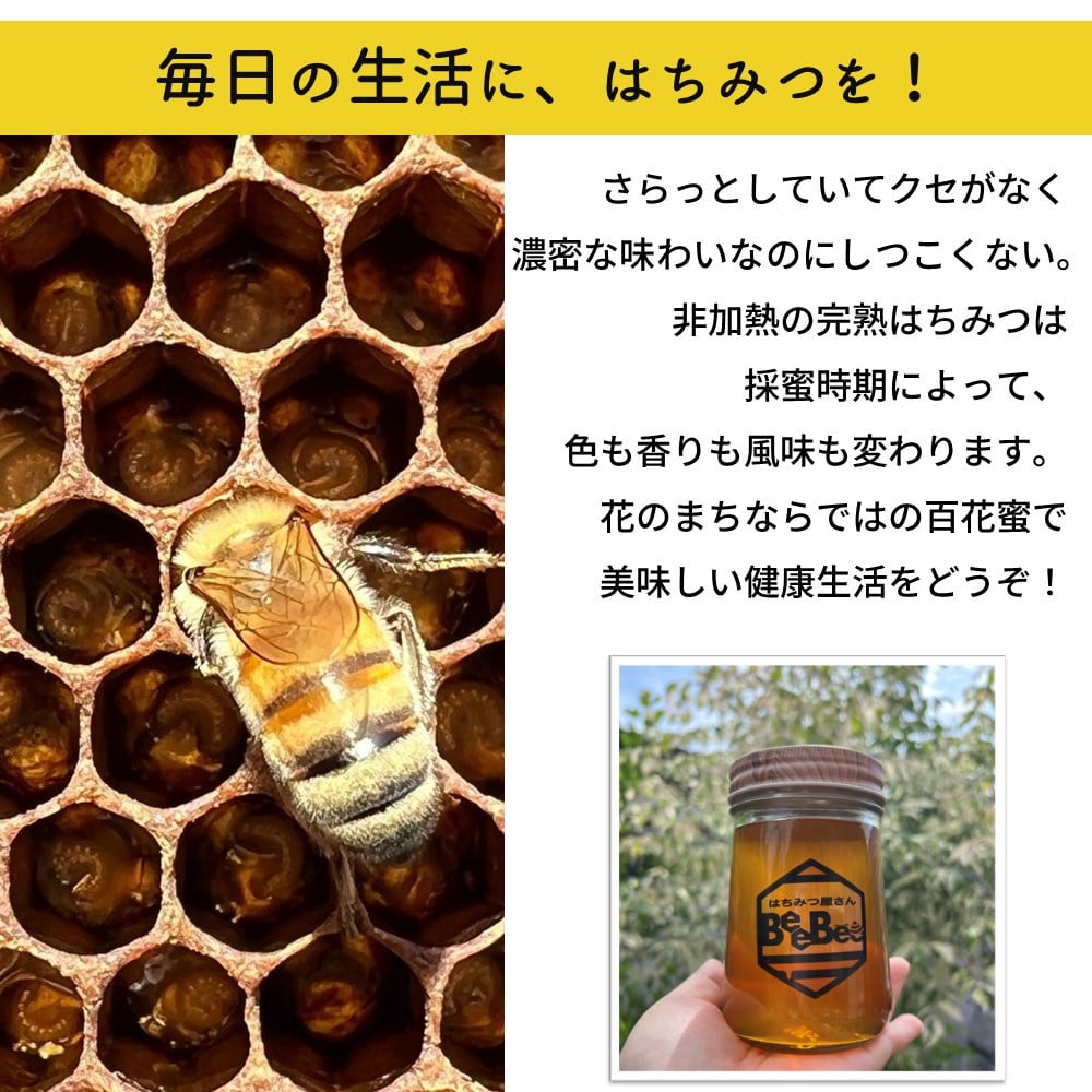 未使用 極上 アカシアの生はちみつ2023 5採蜜 新蜜 国産蜂蜜