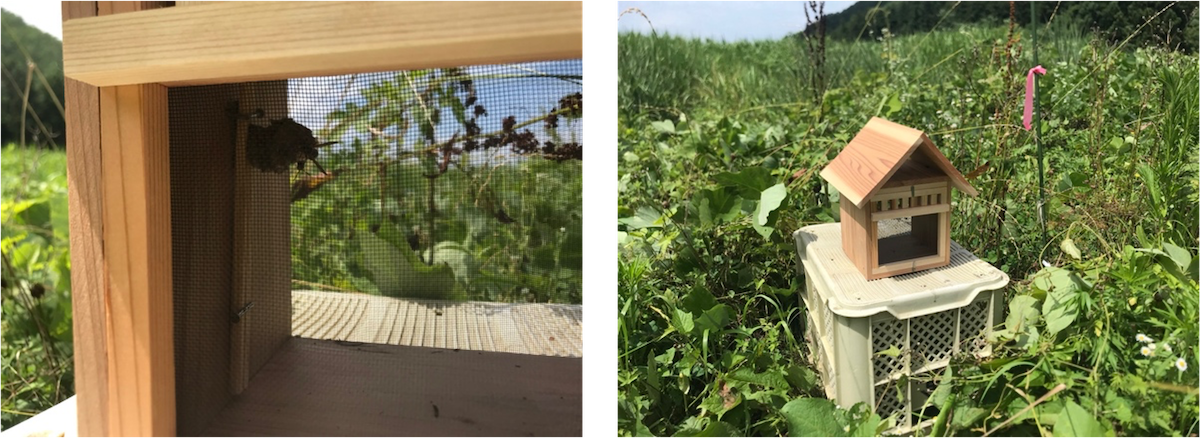 山形の蜜蝋キャンドルの職人さんによるオリジナルのアシナガバチ専用巣箱