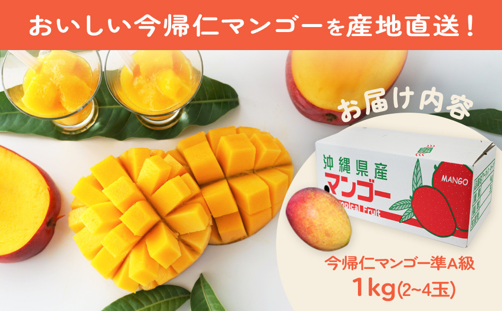 沖縄県今帰仁マンゴー - 果物