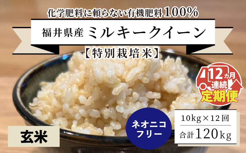 令和5年産新米】【12ヶ月連続お届け】【特別栽培米】福井県産 ミルキー