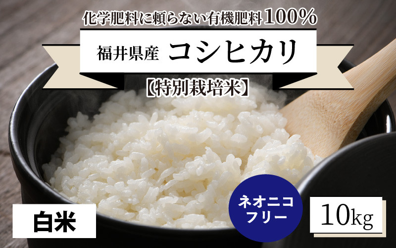 【令和5年産】【特別栽培米】福井県産 コシヒカリ 10kg ～化学肥料にたよらない有機肥料100%～ ネオニコフリー （白米） [A-13405_01]