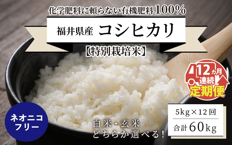ふるさと納税　新米！【3ヶ月連続】特別栽培米コシヒカリ　5kg