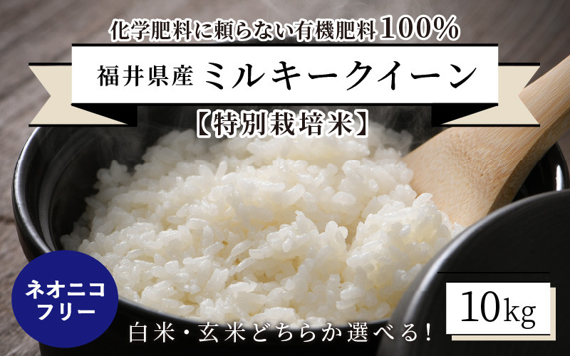 84％以上節約 特別栽培米 ミルキークィーン 無洗米 10kg