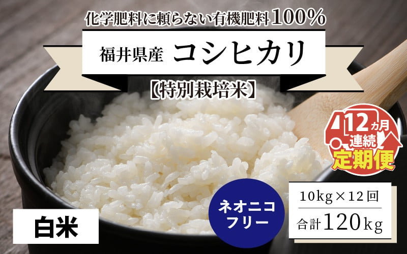 先行予約】【令和6年産・新米】【12ヶ月連続お届け】【特別栽培米】福井県産 コシヒカリ 10kg ～化学肥料にたよらない有機肥料100%～  ネオニコフリー （白米）【2024年10月上旬以降発送予定】【 白米 お米 ごはん ブランド米 こしひかり 10キロ 産地直送 定期便 お楽しみ ...