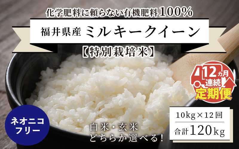 ネオニコフリー　福井県坂井市｜ふるさとチョイス　計120kg　[O-13402]　令和5年産新米】【12ヶ月連続お届け】【特別栽培米】福井県産　ふるさと納税サイト　ミルキークイーン10kg×12回　～化学肥料にたよらない100%の有機肥料～