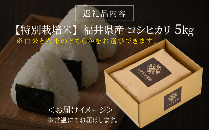 先行予約】【令和6年産・新米】【特別栽培米】福井県産 コシヒカリ 5kg ～化学肥料にたよらない 有機肥料100%～ ネオニコフリー（玄米）【2024年10月上旬以降順次発送予定】  [A-13403_02] - 福井県坂井市｜ふるさとチョイス - ふるさと納税サイト