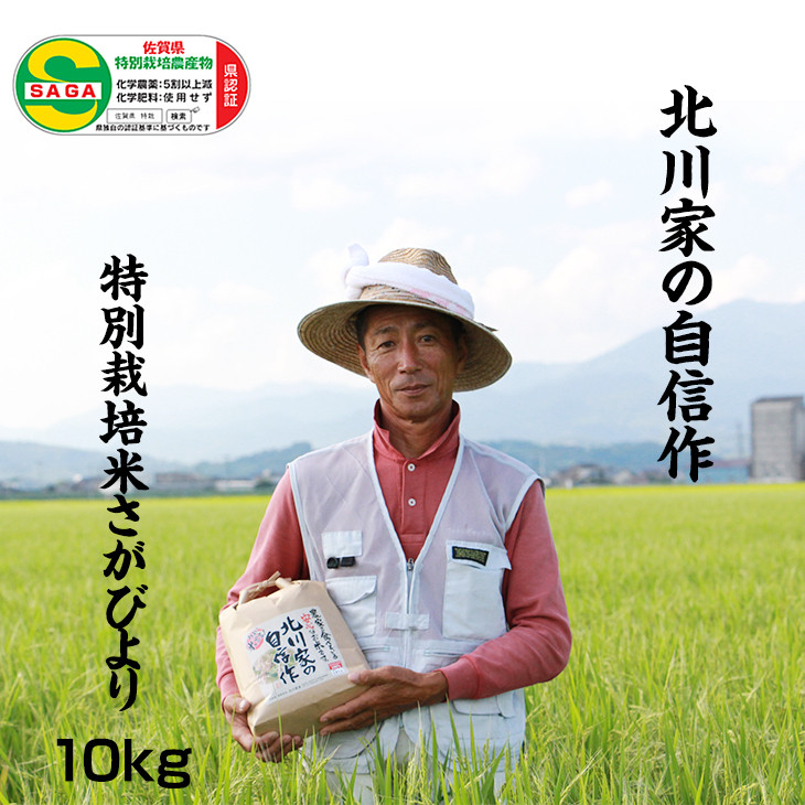 令和5年度【新米】・特A評価！農家直送の米　さがびより20キロ