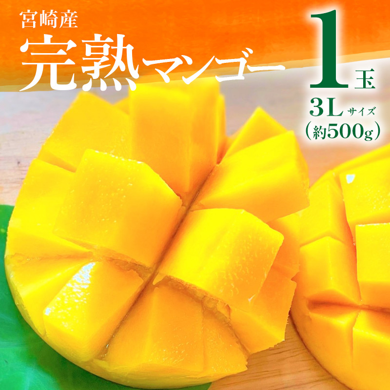 単品購入可 沖縄産☆極上☆玉文マンゴー 2玉 1.1kg - 通販 - anubanssk