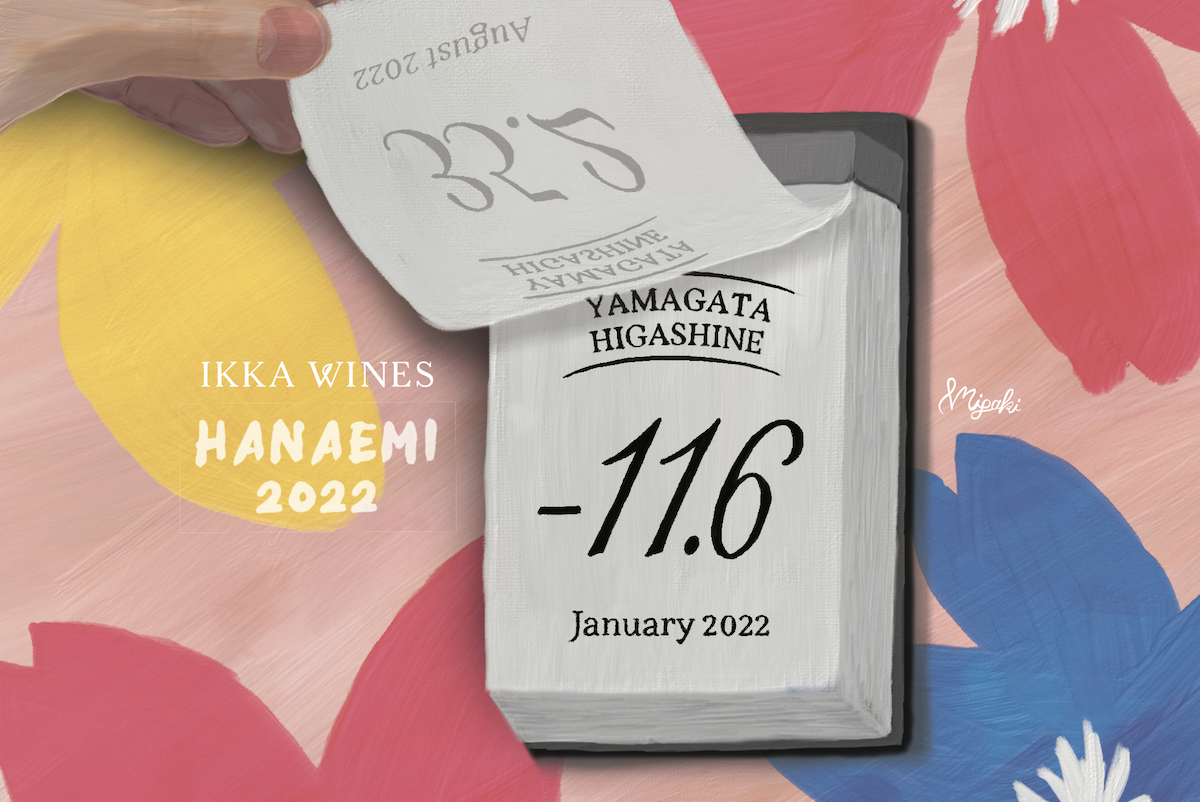 無添加ナチュラルワイン 2022年ヴィンテージ3種セット IKKA WINES【301
