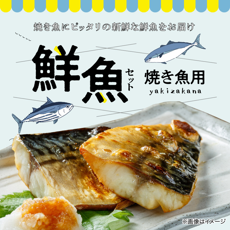 熊本県天草市｜ふるさとチョイス　ふるさと納税サイト　S121-001_焼き魚用　鮮魚セット