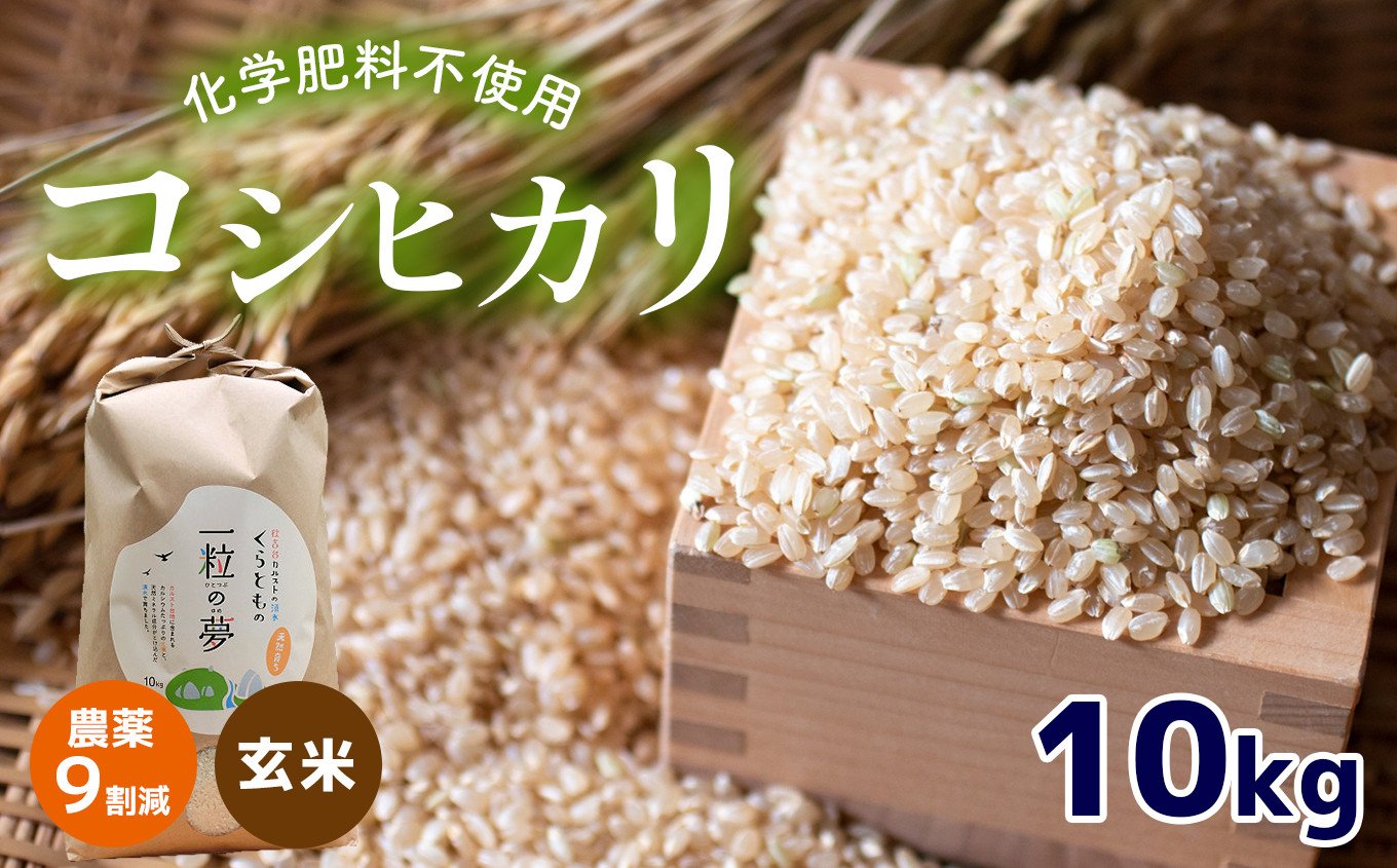 新米コシヒカリ玄米約1キロ  牛さん農法  農薬不使用 化成肥料不使用