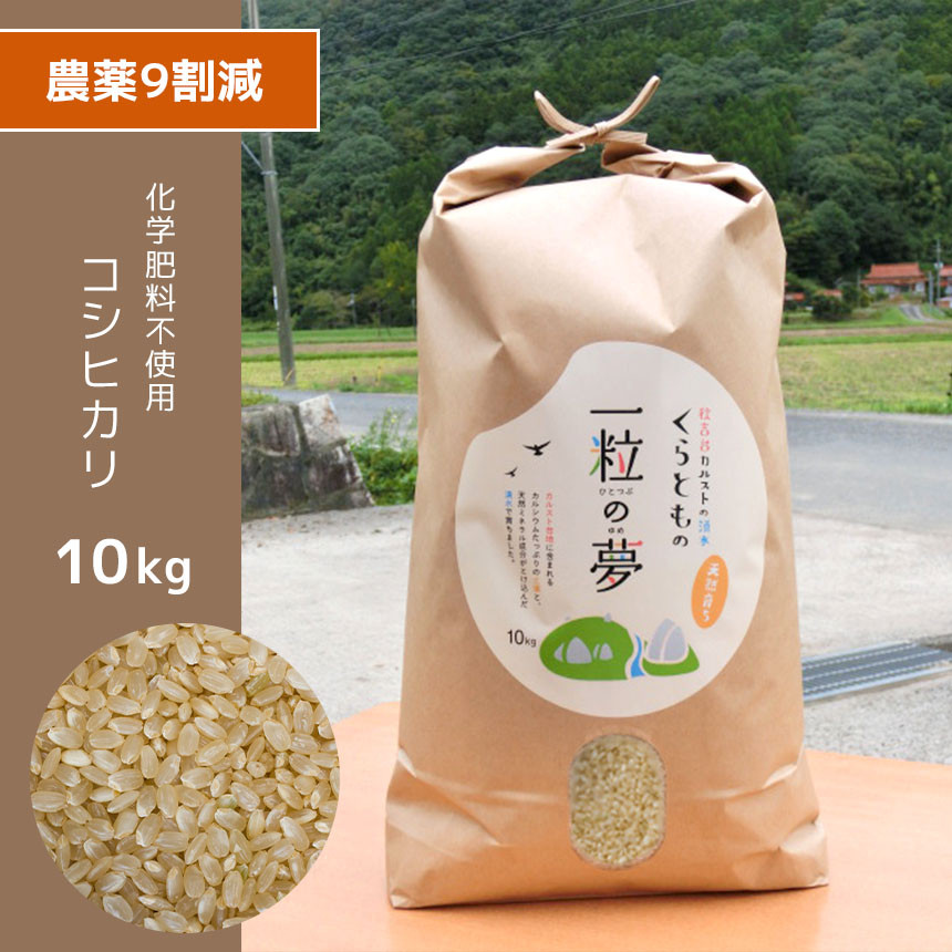 農薬不使用 無農薬 無化学肥料 除草剤不使用 ひのひかり 大粒 玄米 新米