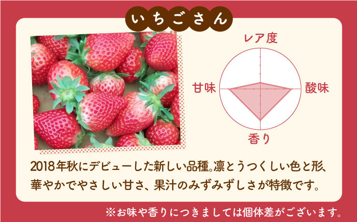 イチゴさん専用 | www.fitmein.co.nz