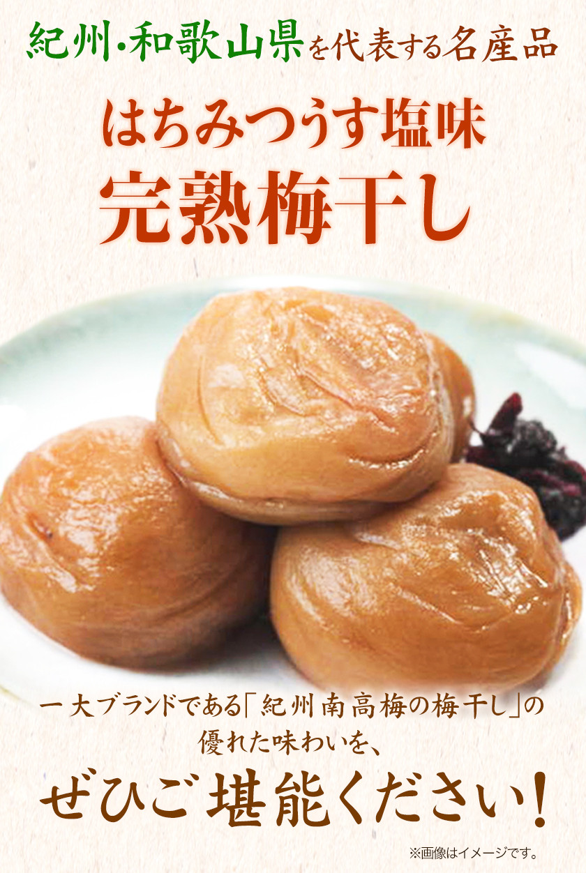 紀州南高梅使用はちみつうす塩味完熟梅干し800g 紀の川市厳選館《30日以内に出荷予定》和歌山県