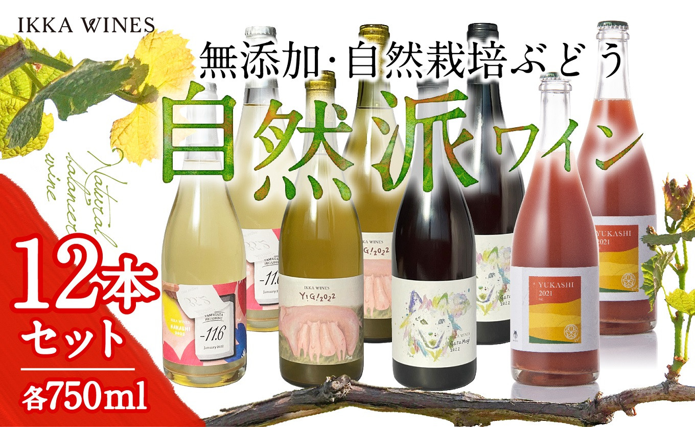 無添加ナチュラルワイン 4種12本セット IKKA WINES K-2271 - 山形県東根市｜ふるさとチョイス - ふるさと納税サイト