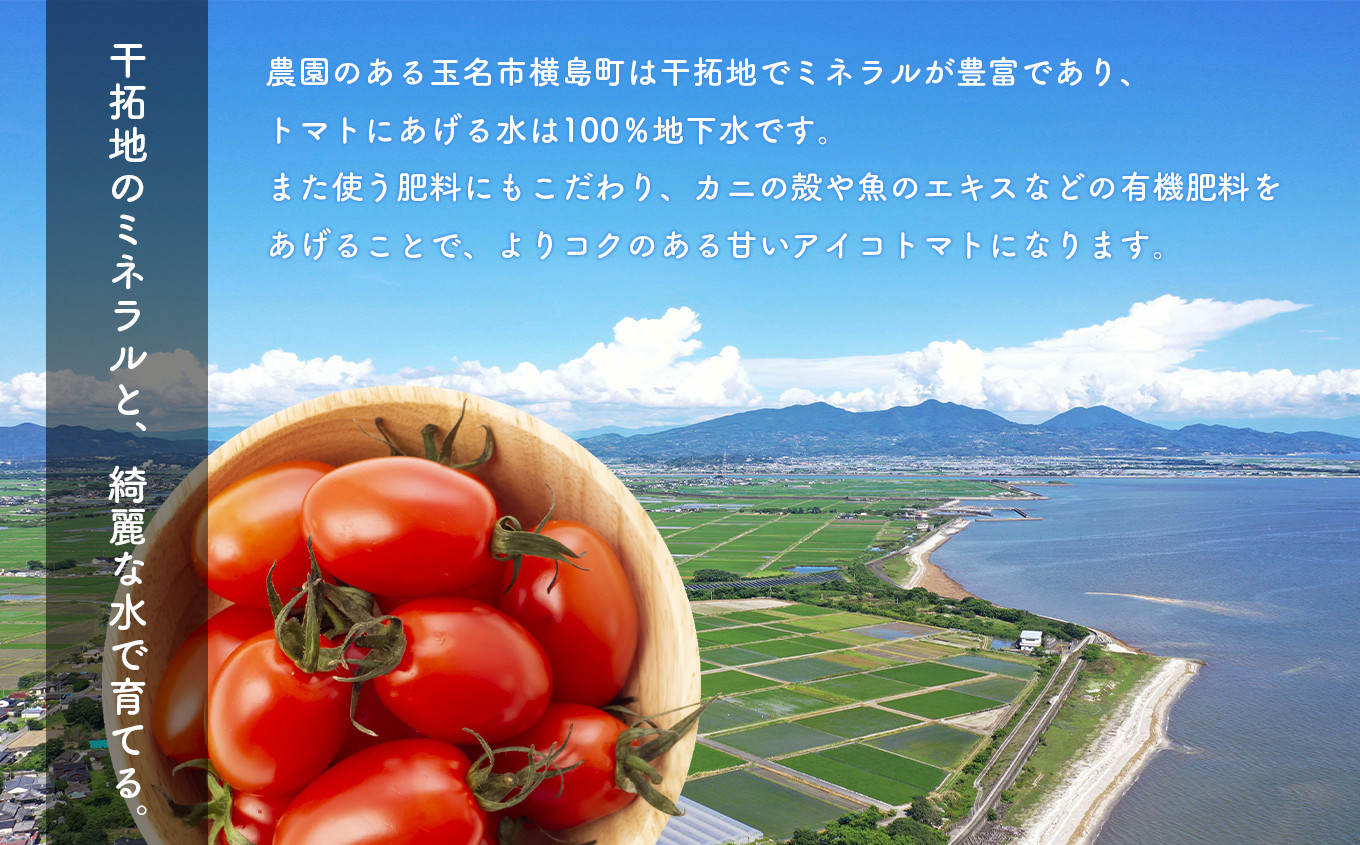ニコニコ農園のミニトマト☆アイコ☆ 野菜 | oilred.com