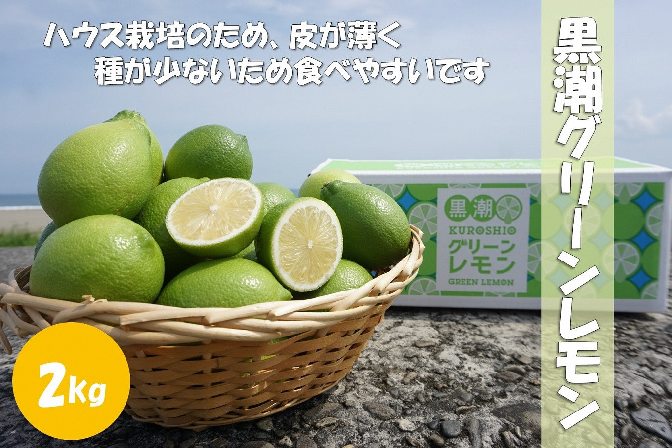 国産グリーンレモン　1.1kg