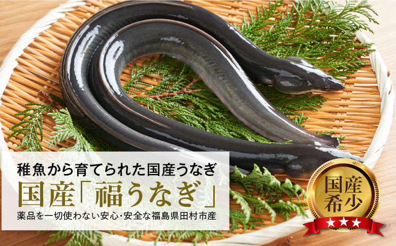 国産 福うなぎ 蒲焼 (140g～150g) 1尾 魚 養殖 ウナギ 鰻 肉厚 冷凍